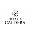 Olearia Caldera