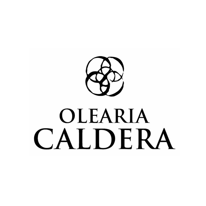 Olearia Caldera